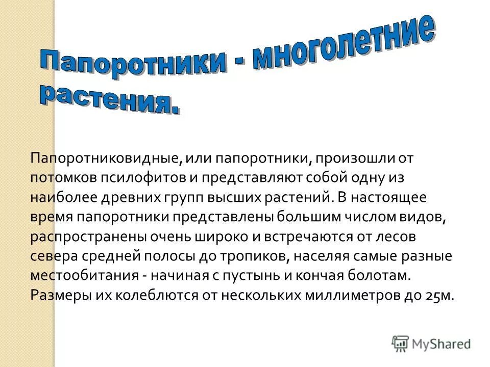 Папоротники произошли от. Папоротник произошел от псилофитов. папоротники произошли от потомков и представляют собой. папоротниковидные произошли от. папоротники произошли от потомков ответы.