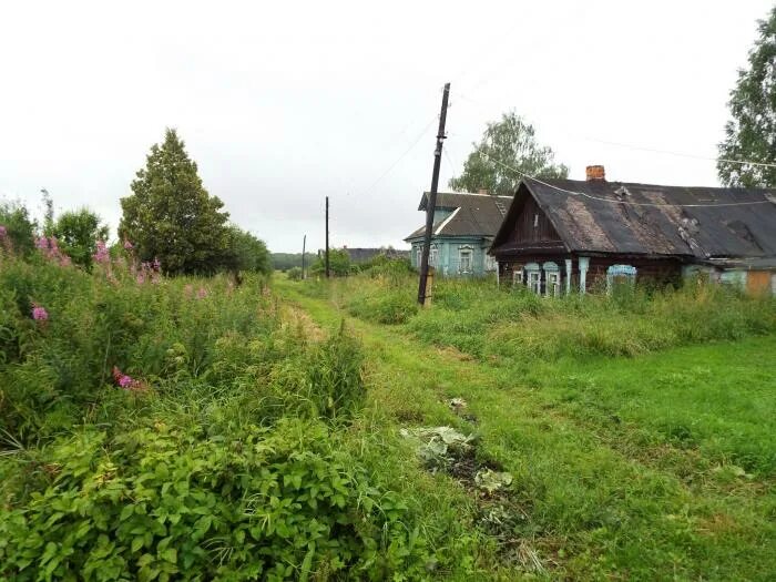 Погода в раменье в дмитровском районе. Раменье (яргомжское сельское поселение). Погода в раменье в дмитровском районе. Погода в раменье в дмитровском районе. Погода в раменье в дмитровском районе.
