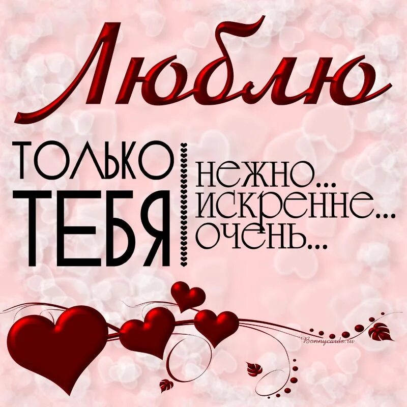 Так искренне так нежно. Люблю только тебя. Люблютольуо тебя. Люблю только тебя одну. Люблю только.