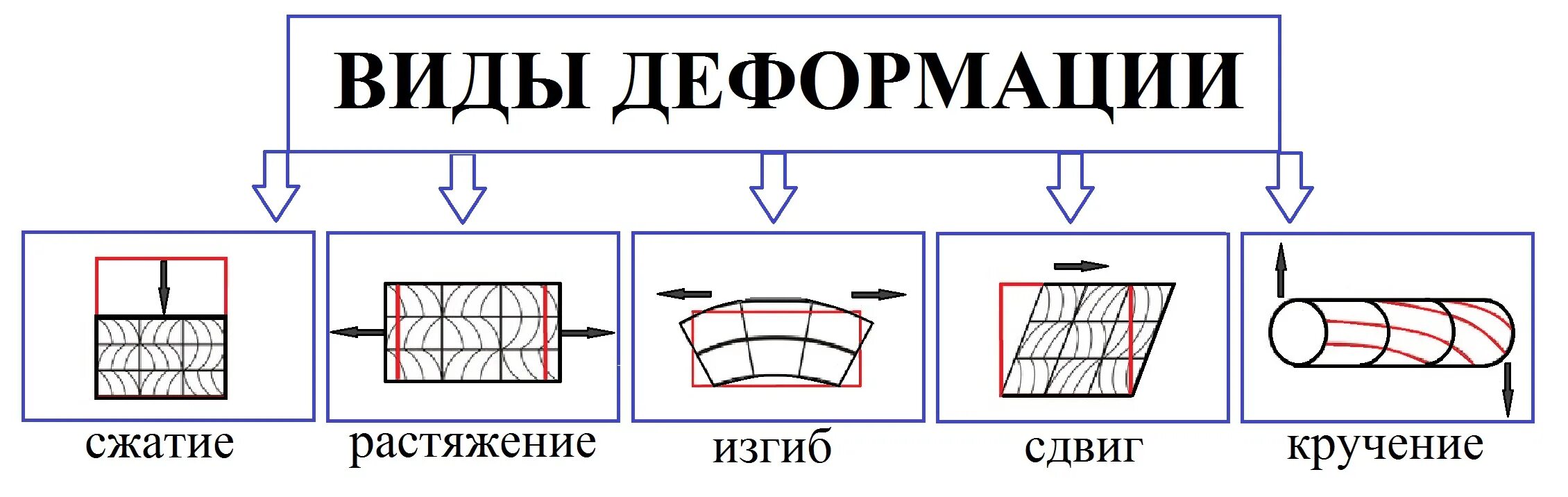 Какие примеры деформаций вы знаете приведите примеры
