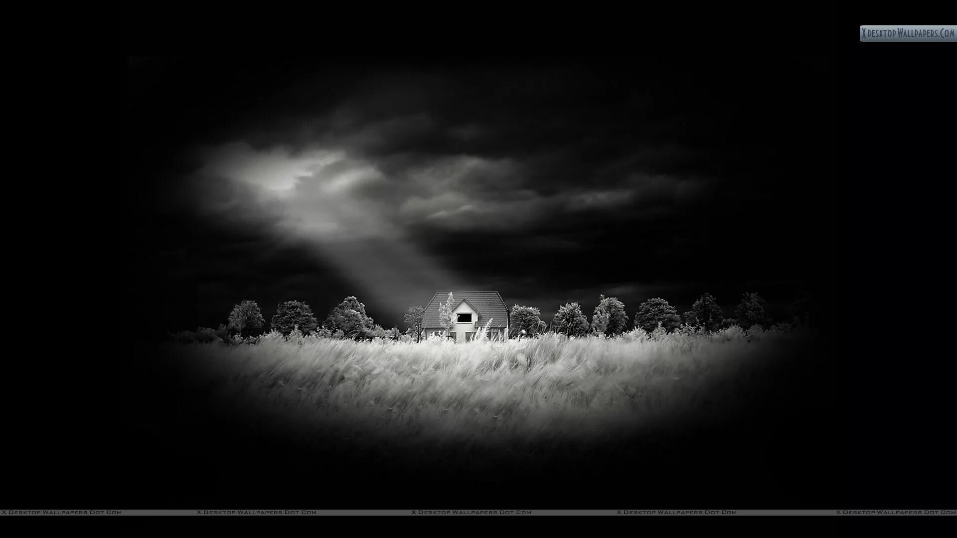 Most dark. More darkness. Океан ночью. More darkness. Лес темный страшный.