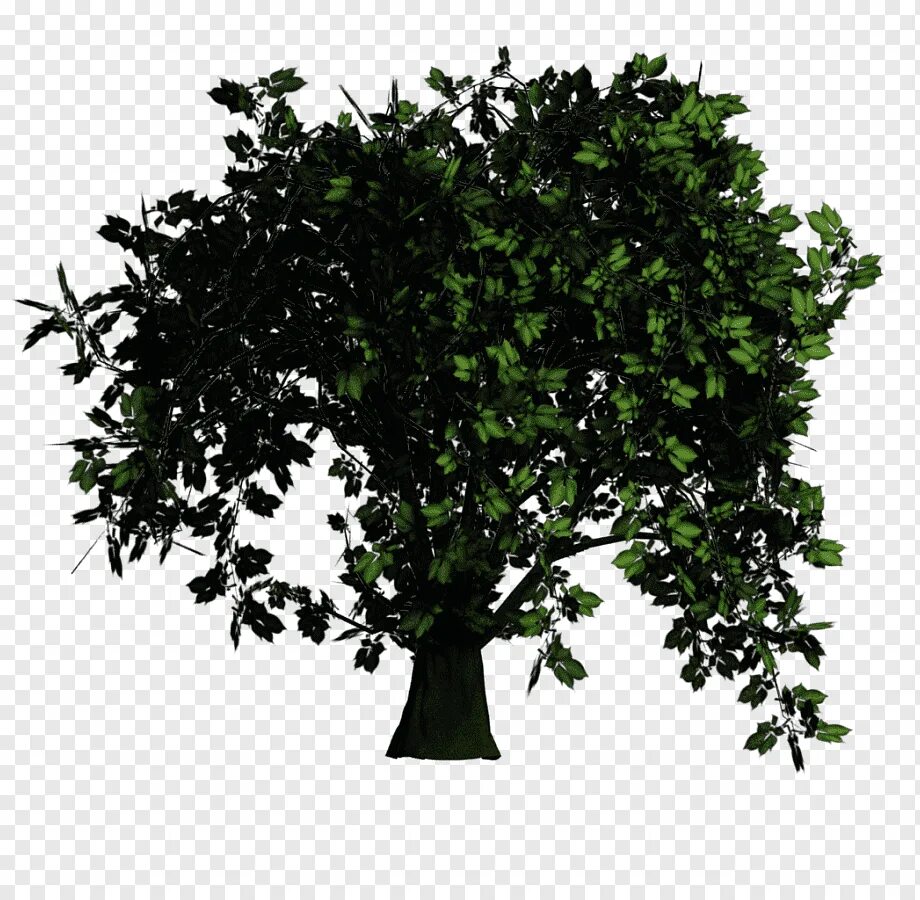 Tree translate