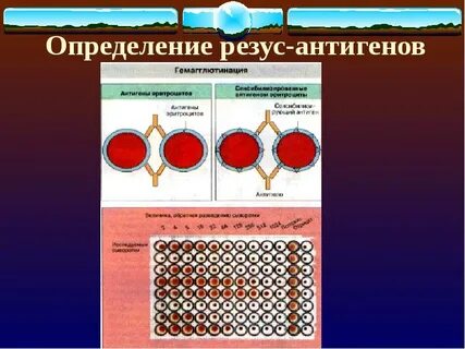 Антиген d системы