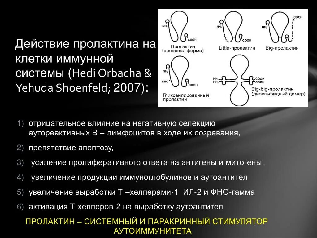 Действие пролактина. Пролактин клетки мишени. Эффекты пролактина. Пролактин механизм действия.