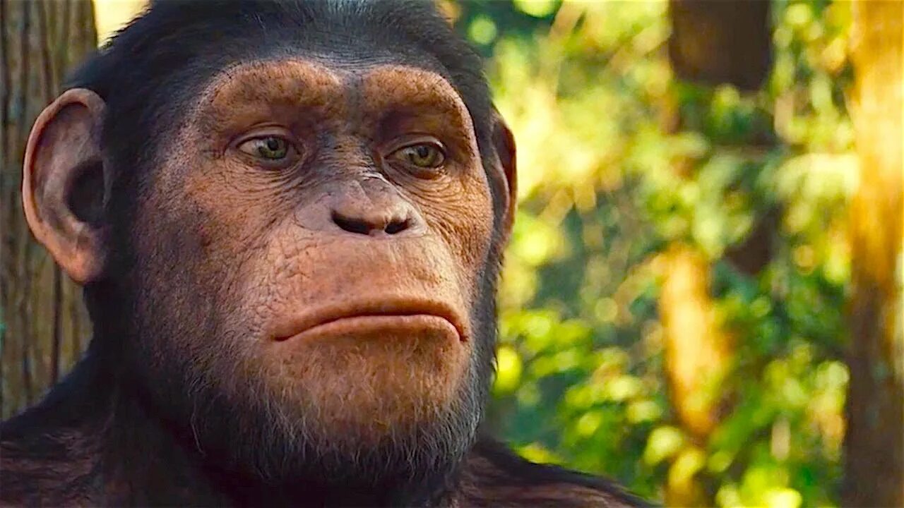 Нашествие обезьян. Восстание планеты обезьян Rise of the Planet of the Apes 2011.