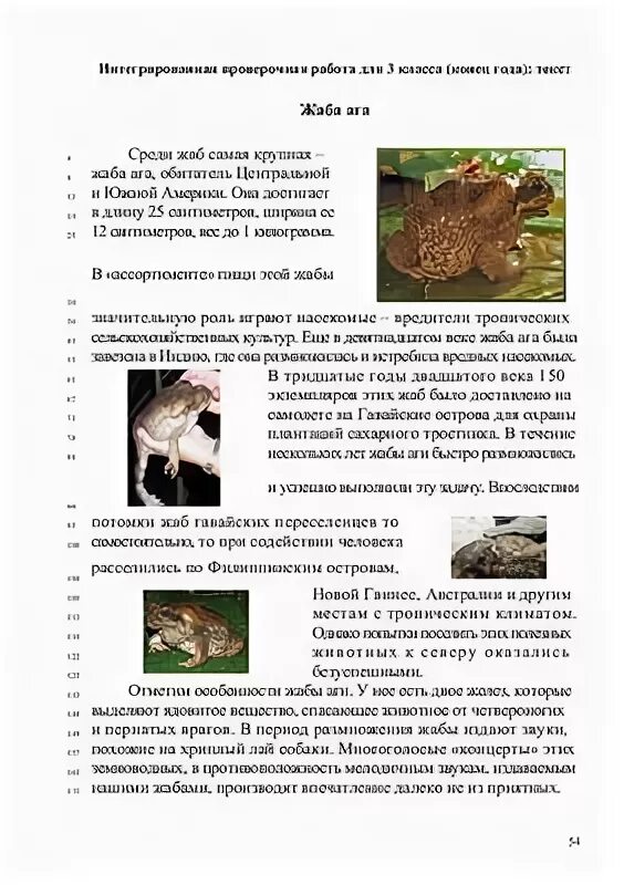 Комплексная контрольная работа жаба ага 3 кл. Комплексная контрольная 3 класс жаба ага ответы. Комплексная контрольная работа 3 класс жаба ага с ответами. Комплексная работа 3 класс жаба ага с ответами.