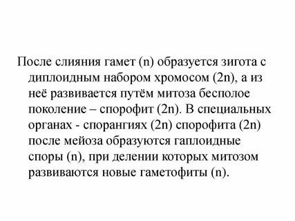 После слияния половых клеток образуется