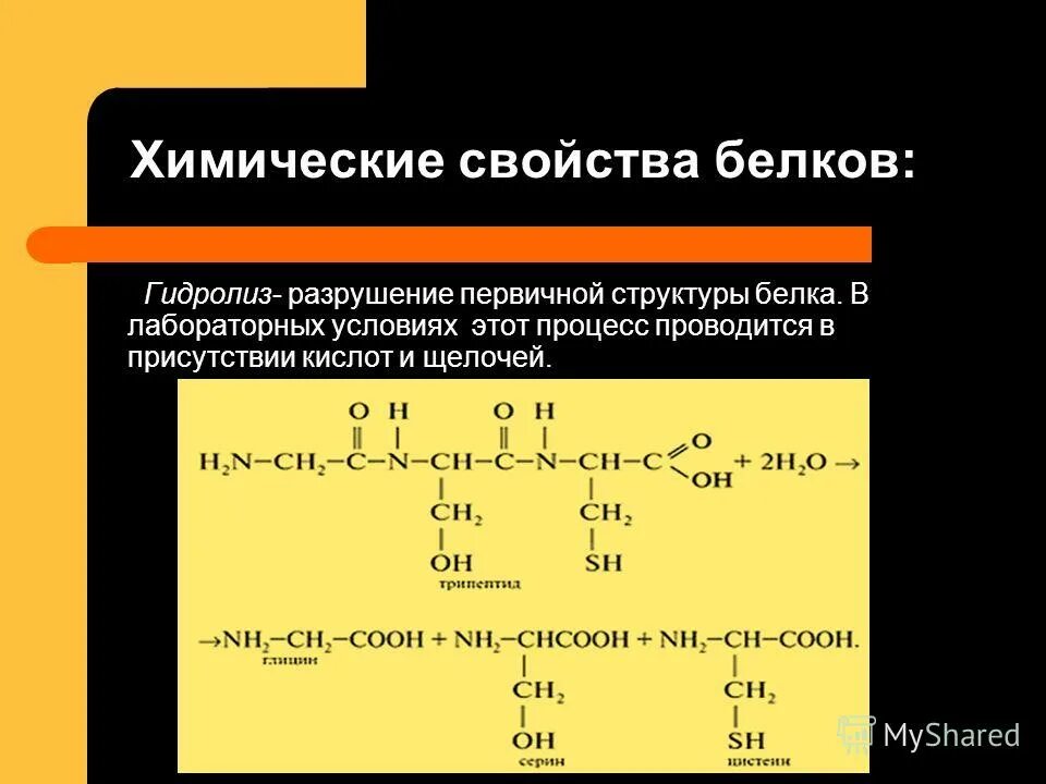 Свойства белков реакции