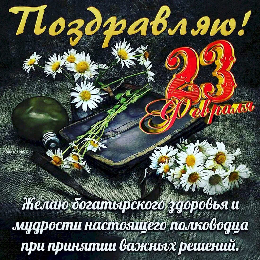 Поздравить сына и внука с 23 февраля. Поздравление с 23 февраля. открытка 23 февраля. поздравление с 23 февраля мужчинам. красивые поздравления с 23 февраля.
