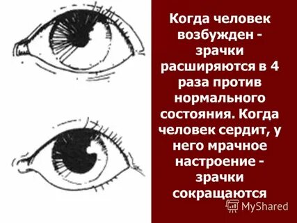 Когда расширяются зрачки