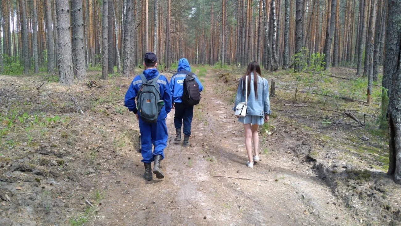 Нашли девочку ушедшую в лес. Заблудился в лесу. девочка в лесу. девушка заблудилась в лесу. девочка потерялась в лесу.