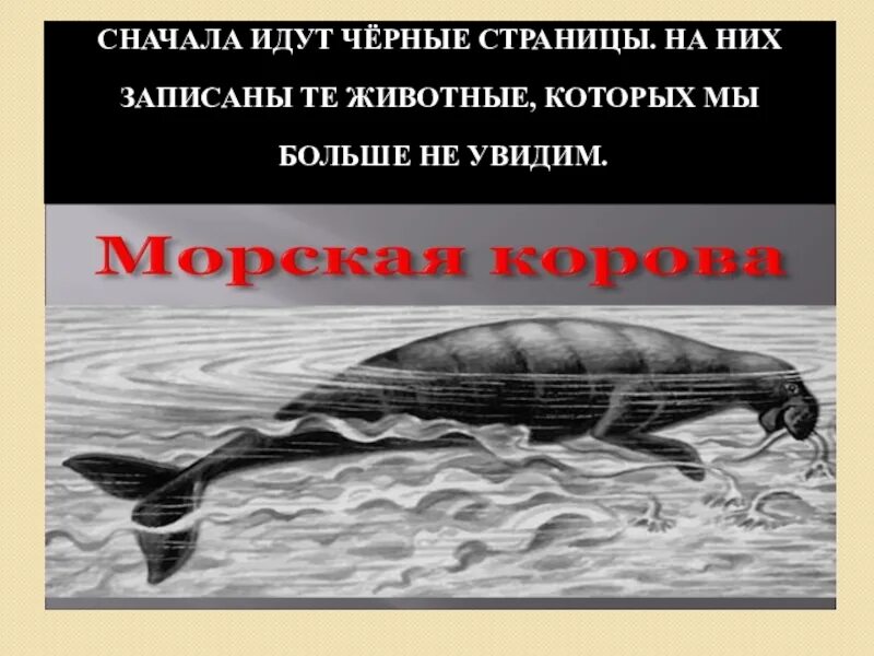 Черные страницы красной книги животные. Черные страницы красной книги. черная страница. животные из черных страниц красной книги россии. сначала идут черные страницы.