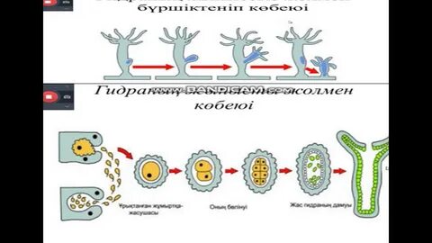Нейлон комбинезон киген эротикалық фотосурет