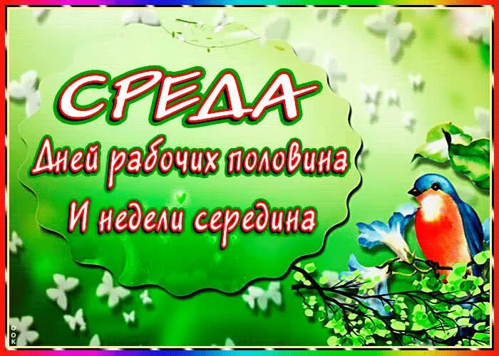 Среда недели картинки. Среда день недели. открытки среда середина недели. среда середина недели с добрым утром. с наступлением среды.