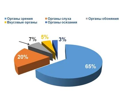 Больше всего информации человек получает