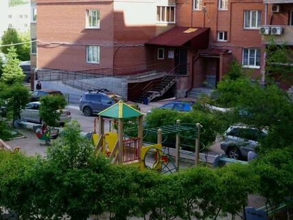 Смородина новосибирск