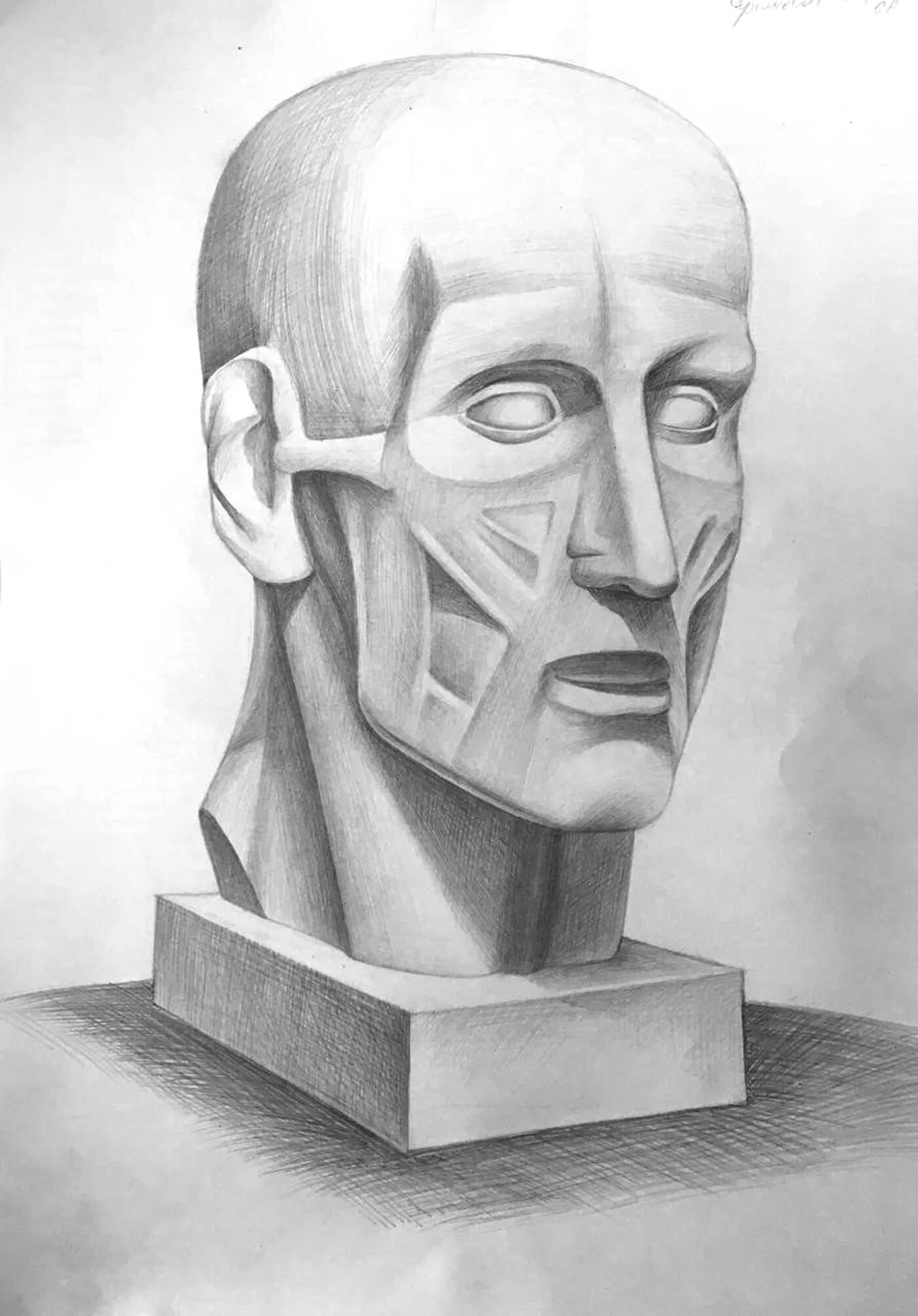 Голова гудона. Экорше гудона голова. Гудон экорше обрубовка. Гудон скульптура экорше. Голова гудона.