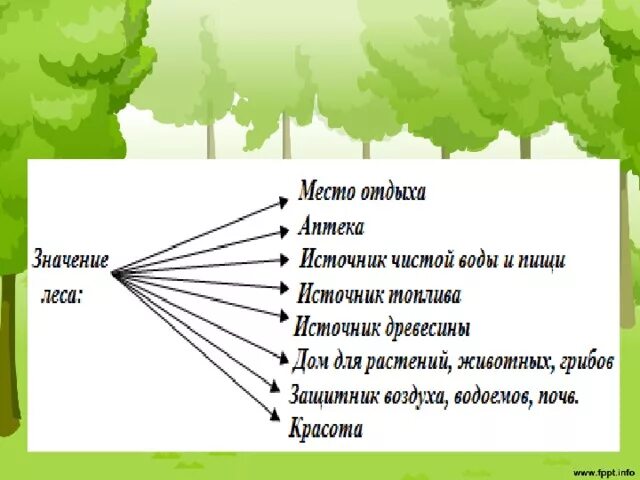 Значение и использование водорослей схема. Роль лишайников в природе и жизни человека. Значение водорослей в природе. Значение водных богатств в жизни человека схема. Значение растений в природе.