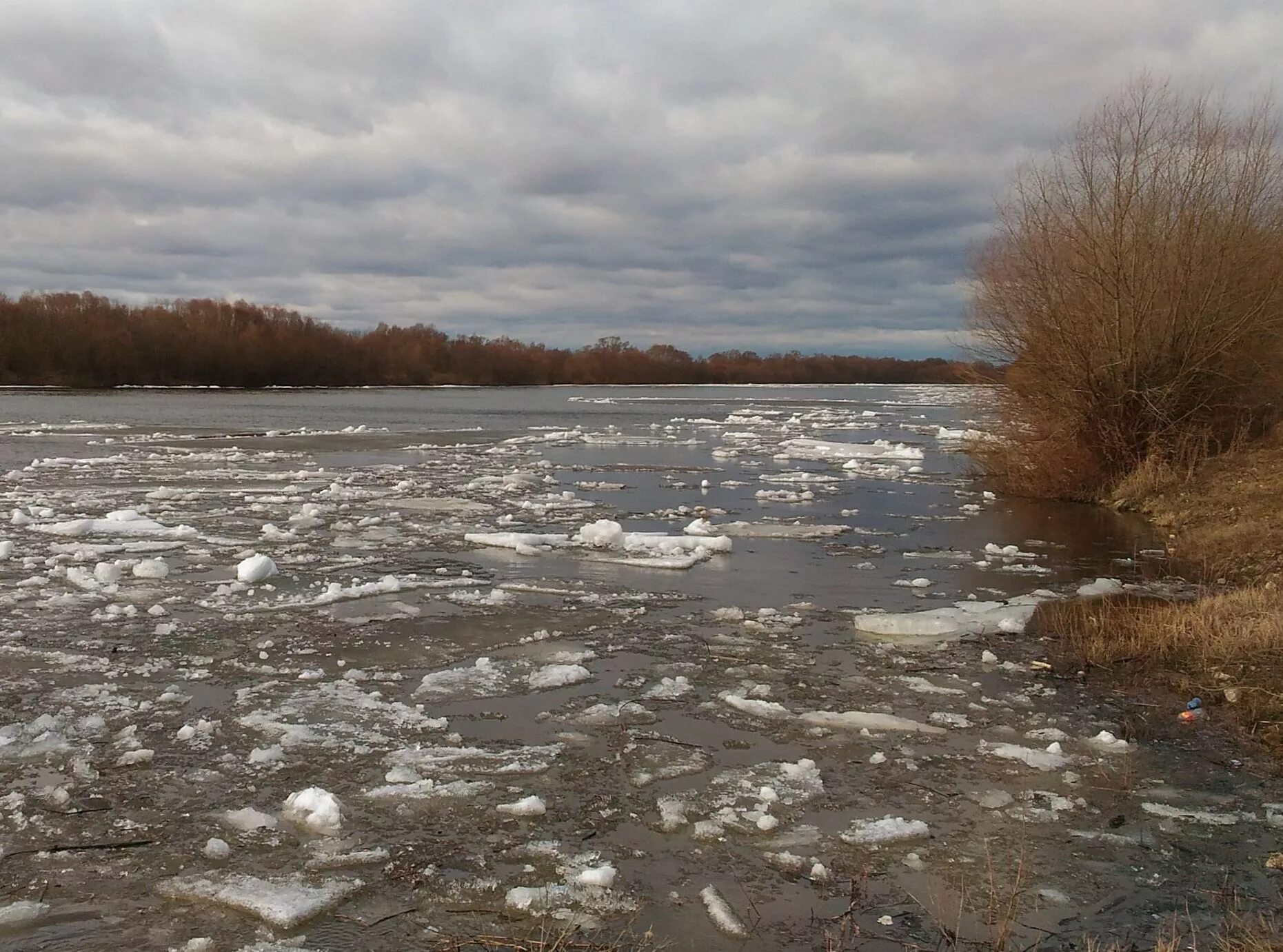 Уровень воды в реке ока город рязань. Половодье Ока Таруса. Половодье реки Ока. Половодье на Оке Рязань. Уровень реки Ока в Рязани.