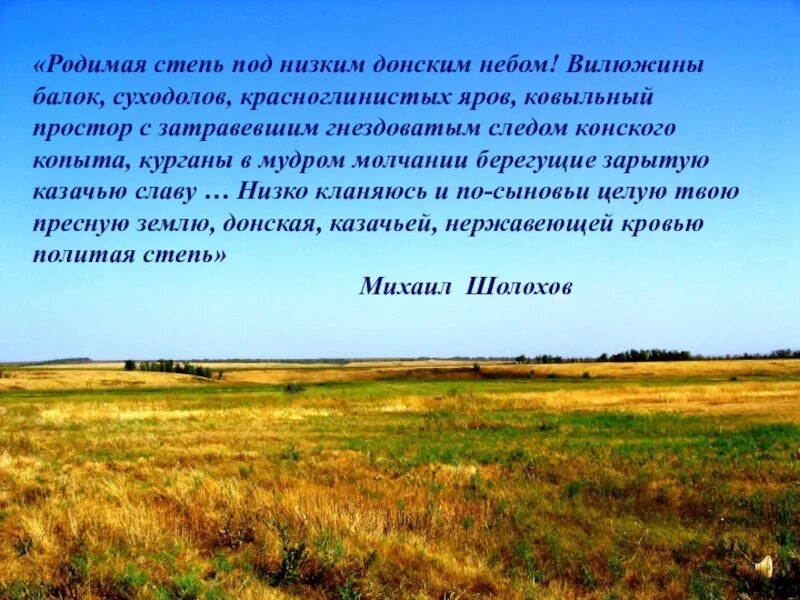 Какое значение степь имеет в жизни человека. Степь. Описание степи. Донские степи просторы. Степь в произведениях русских писателей.