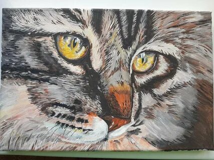 Кошка акрил