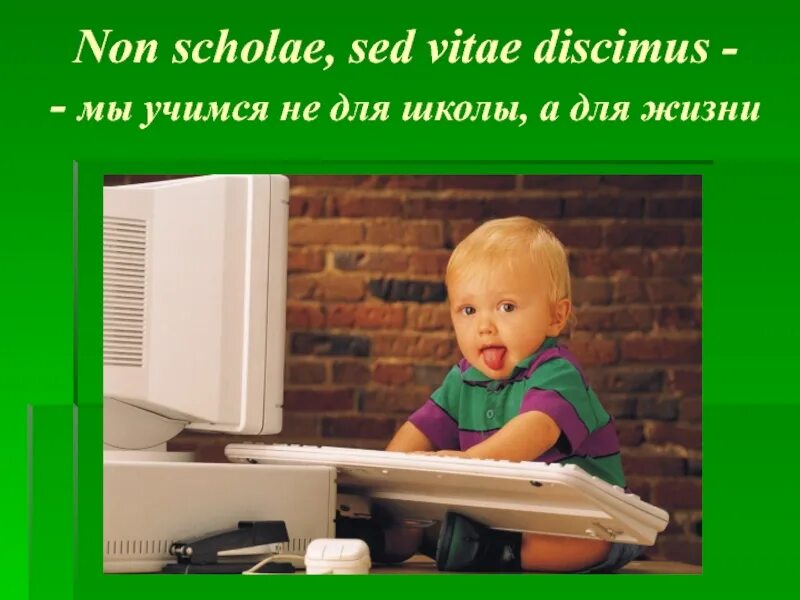 Vitae non scholae discimus. Non scholae sed vitae discimus. sed vitae discimus. non scholae sed vitae discimus вшэ. non scholae sed vitae discimus иллюстрации к фразе.