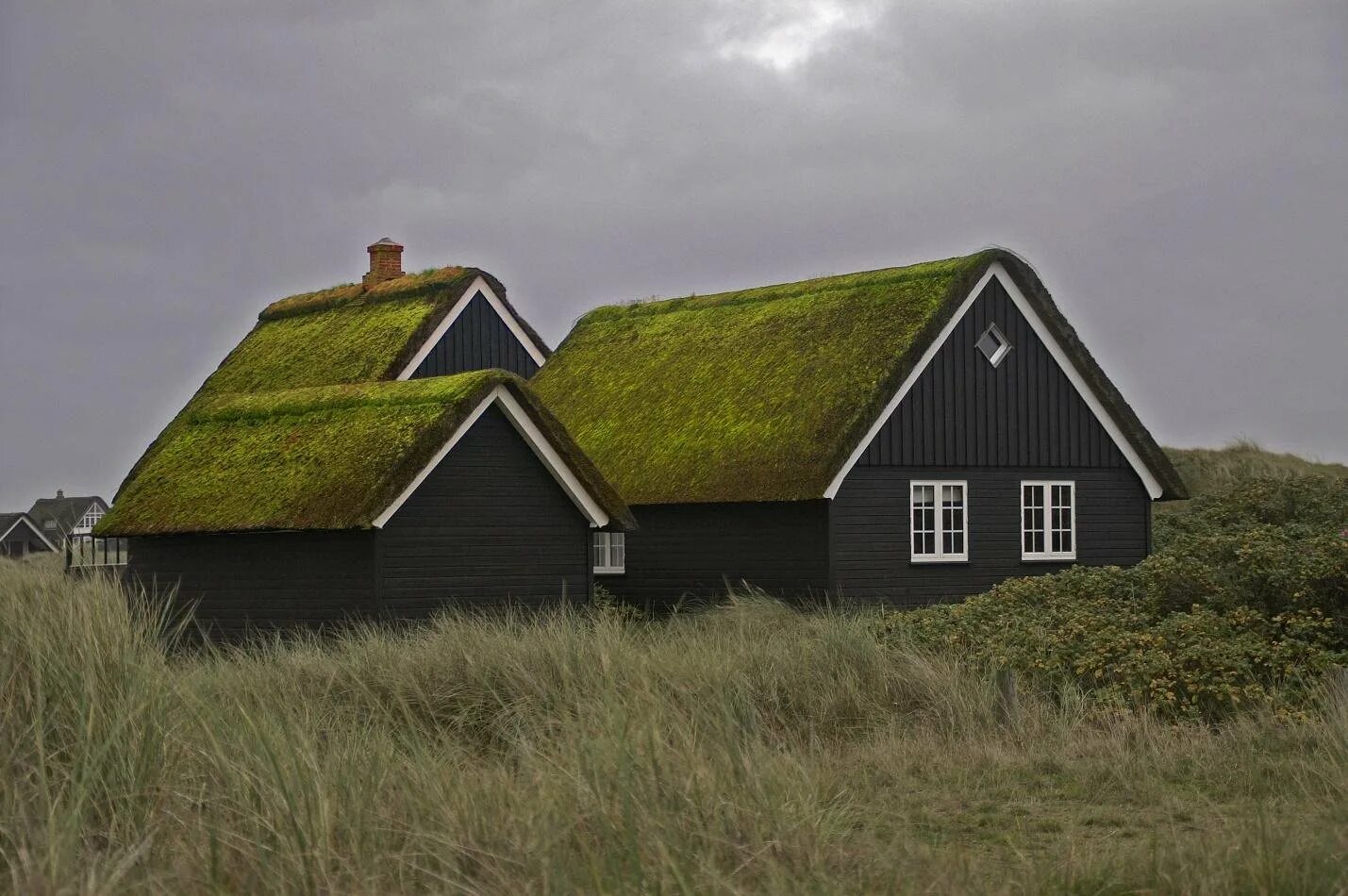 Земляная крыша. Экстенсивные зеленые крыши. Зеленая кровля Скандинавия. Экстенсивная зеленая кровля плоская. Зеленые крыши Осло.