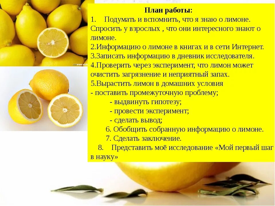 Можно ли лимон при беременности. Полезные свойства лимона. лимон полезные вещества. лимон для презентации. польза лимона.
