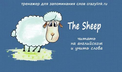 Стихотворение про овечку. Овечка на английском. Текст про овечку. Рассказ про овечку на английском. Как по английски будет овца