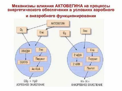 Энергетические механизмы