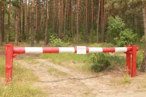 Противопожарный режим омская область 2024