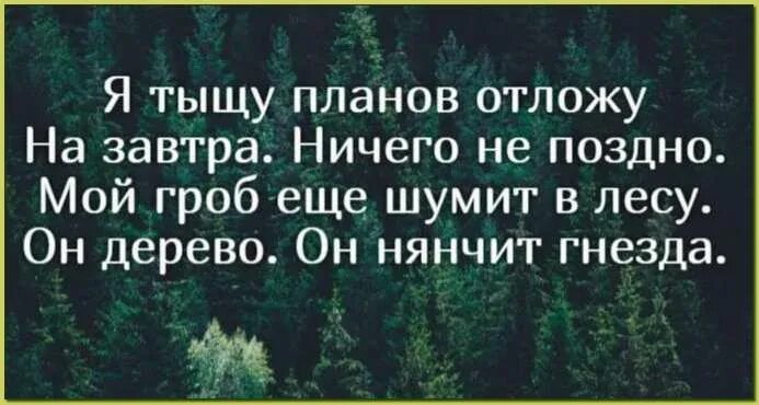 Мой гроб ещё шумит в лесу он дерево он нянчит. Мой гроб еще шумит в лесу. Франтишек Грубин я тыщу планов отложу. Могроб ещё шумит в лесу. Я тысячу слов готов