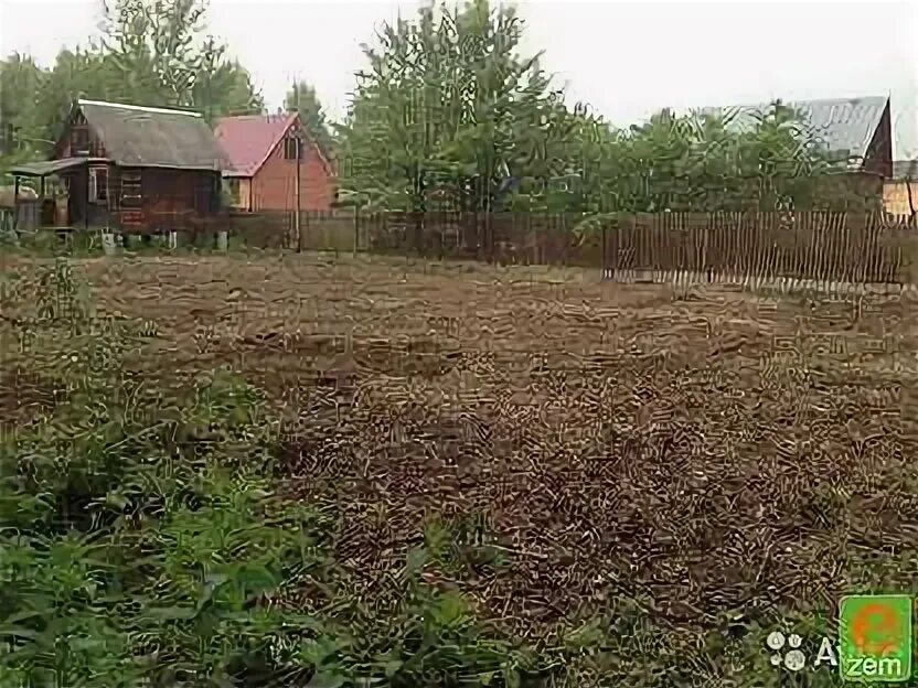 Года снт