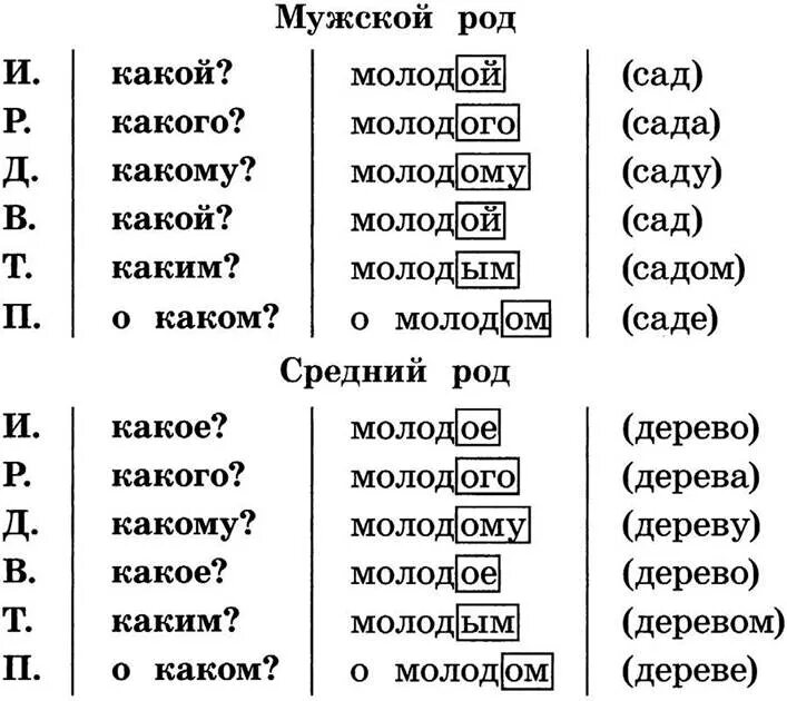 Родительный падеж имен прилагательных мужского и среднего рода. Склонение имен прилагательных мужского и среднего рода 4 класс. Склонение имён прилагательных 4 класс школа России. Склонение имён прилагательных женского рода 4 класс.