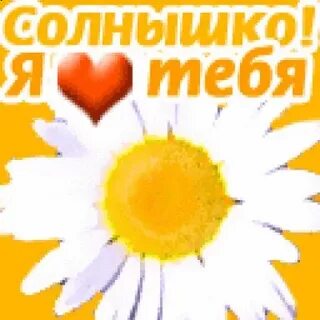 Ты мое солнышко нежное я твоя