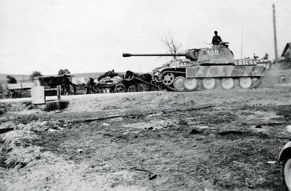 Пятая танковая. Пятая танковая. Танк пантера в 1944 году. Пятая танковая. Танковая дивизия викинг.