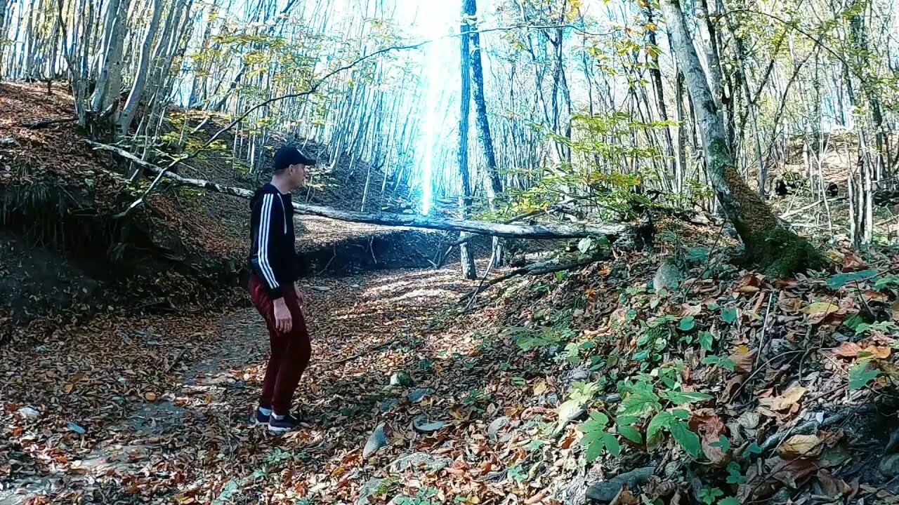 Реальные кадры. Майкоп лес. Инопланетяне в реальной жизни. Город в the Forest. Лесная часть Майкоп.