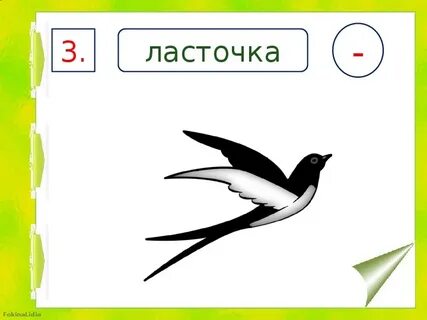 Ласточки 1 разбор