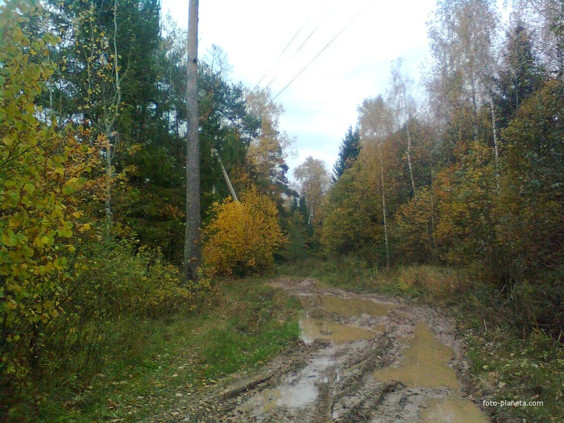 Рыбалка в трубицино. Трубицино Боровский район. Калужская область Боровский район д. Трубицыно. Деревня Трубицыно Малоярославецкий район. Деревня Курчино Боровский район.