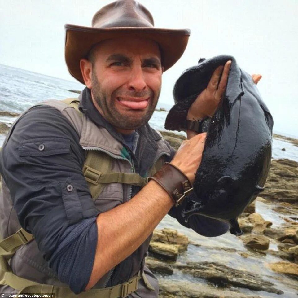 Discovery host