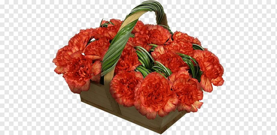 Meat flower. Цветы хостинг. Цветок мясо красное. Flowers - Carnation Basket. Корзина с красными гвоздиками PNG.