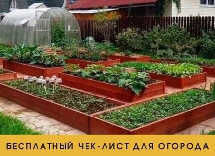 Грядки 33