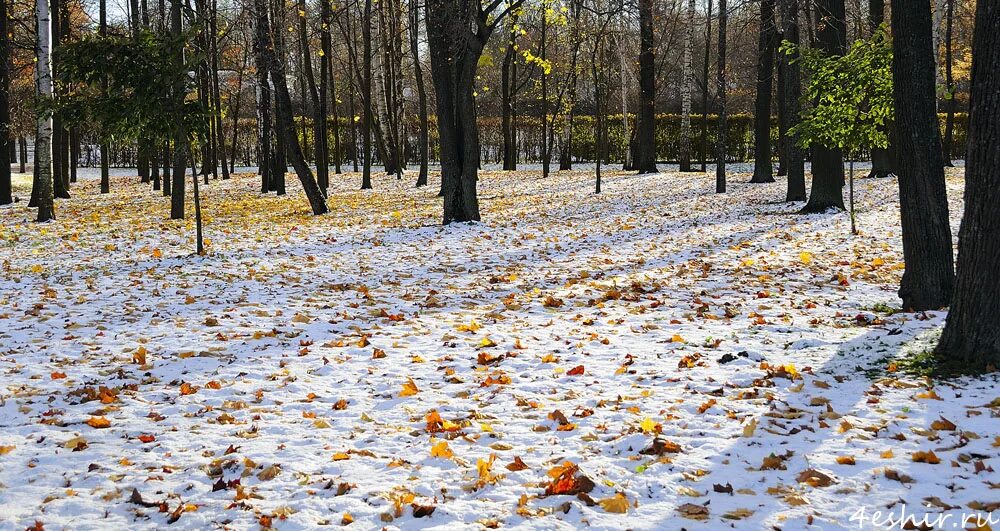Погода конец сентября октябрь. Ранняя зима. Поздняя осень в городе. Поздняя осень парк. Осень ноябрь.