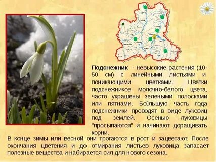 Липецкая красная книга