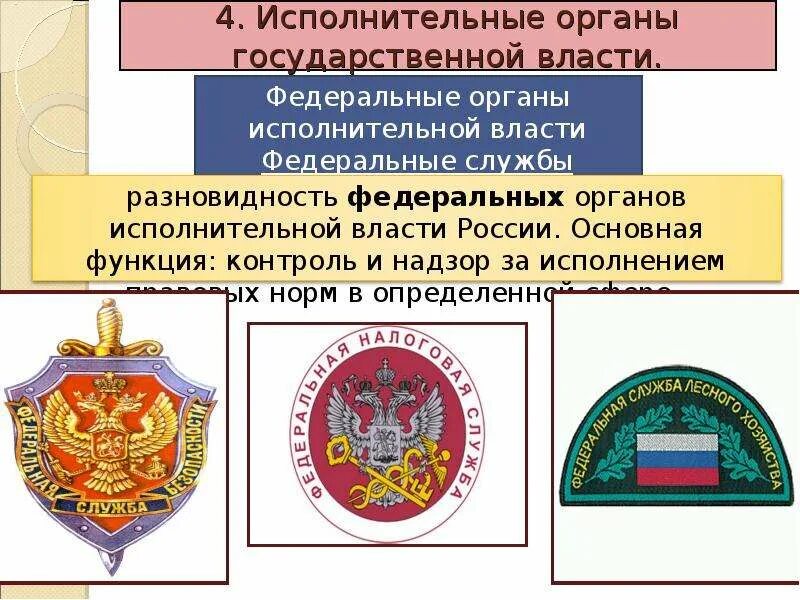 Сайт государственных органов рф. Значки на тему государственные органы власти. Федеральные органы власти иконка. Федеральные органы исполнительной власти РФ иконка. Флаг федеральных органов исполнительной власти.