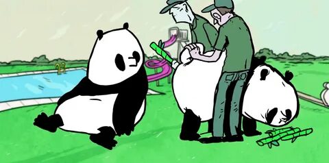 Pandas housebot