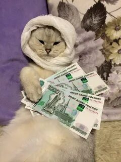 Смешные картинки с деньгами