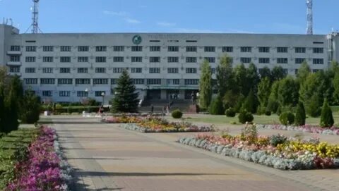 Система электронной поддержки белгау