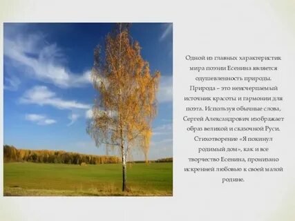 Родная природа в лирике