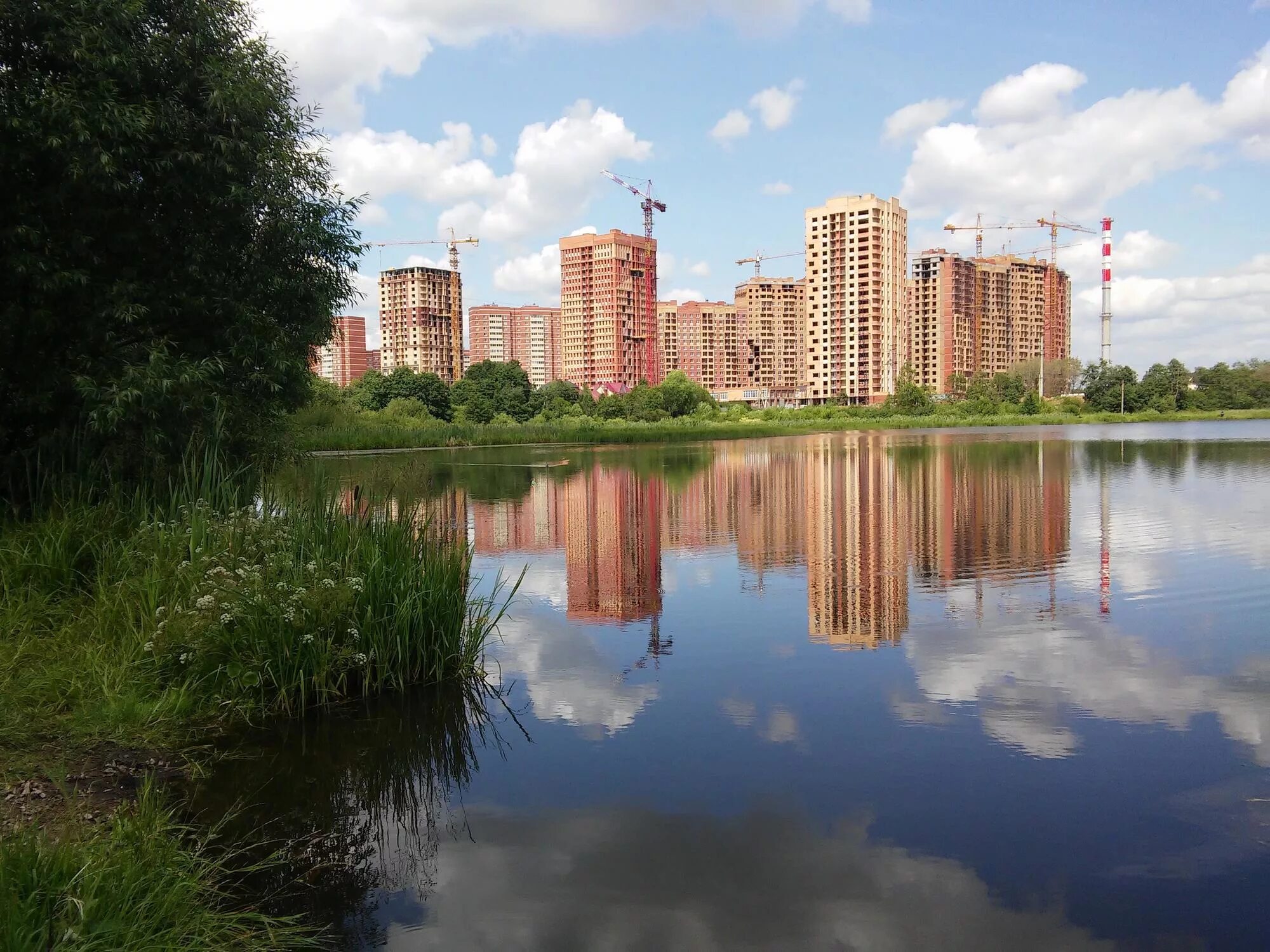 Потаповская роща, 26к1. Коммунарка потаповская роща 26к3. Роща. Щербинка барышевская. Барышевская роща 26 щербинка.